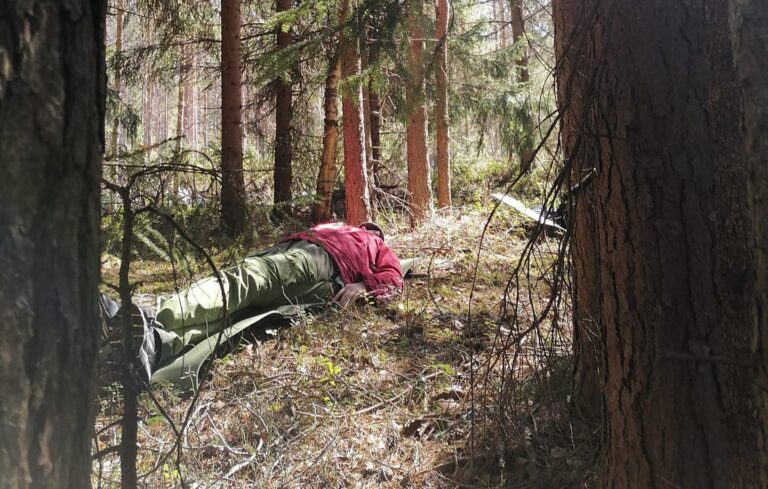 Ihminen makaa keväisessä metsässä. Aurinko paistaa.
